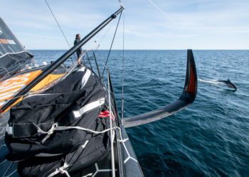 Barco 11th Hour Racing Team muda planejamento na vela oceânica