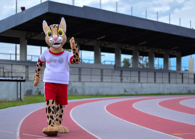 COB terá quase 500 atletas em Assunção 2022, maior delegação do ciclo olímpico