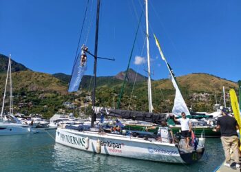 Velejadores que moram na Espanha integram o Phytoervas