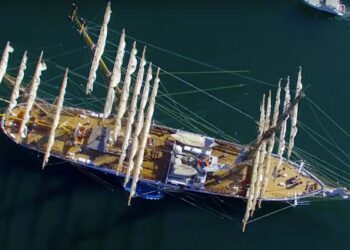 Cisne Branco estará na SIVI 2023