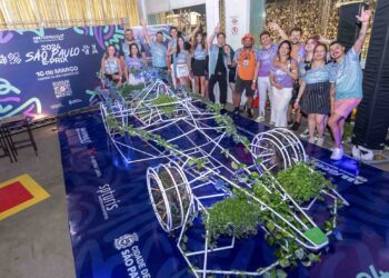 Carro da Fórmula E estilizado é destaque no Carnaval paulista