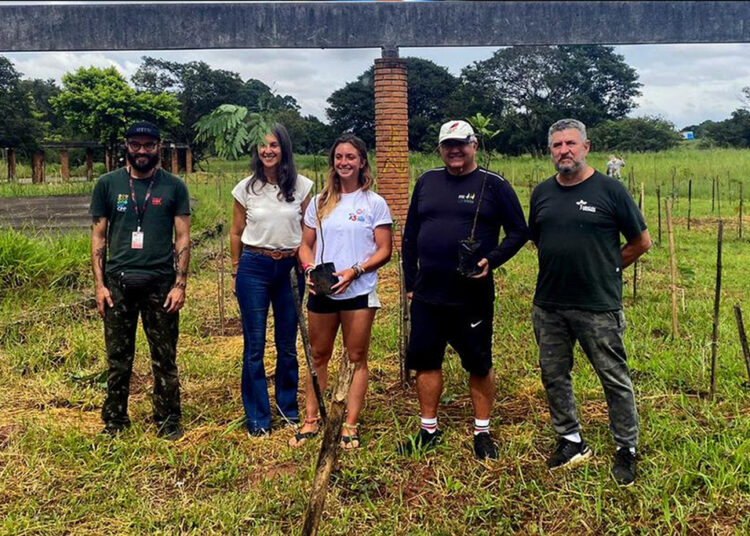 Plantio de mais de 400 árvores pela CBVela em São Paulo (SP)