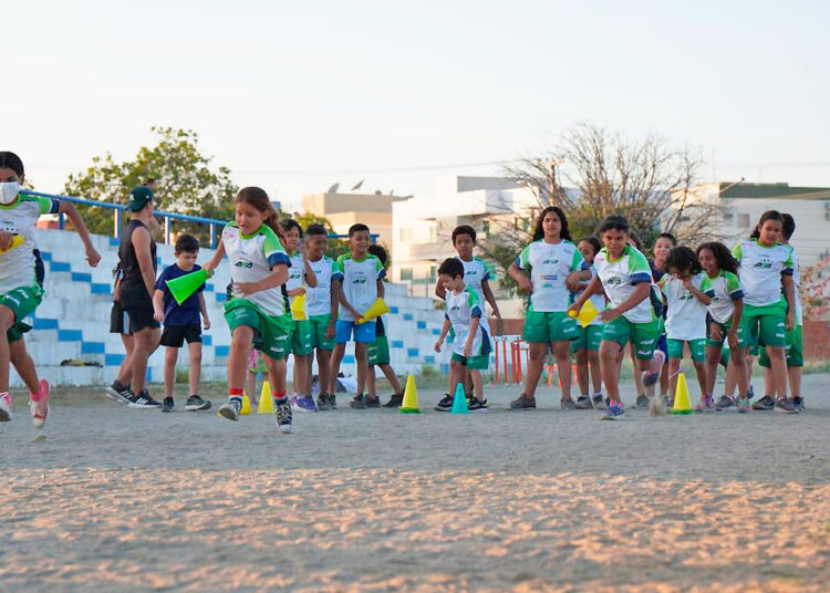 Ajude a APA Petrolina, do Sertão de Pernambuco, sem gastar nada: doe parte do seu Imposto de Renda